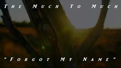 The Much To Much: "Forgot Your Name"