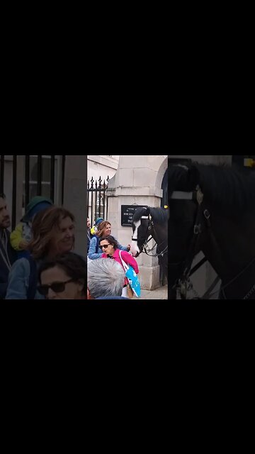 Don't push me #horseguardsparade