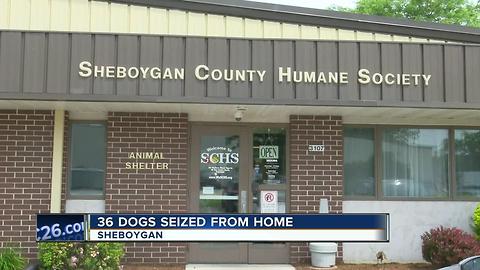 36 dogs removed from Town of Wilson home after animal welfare investigation