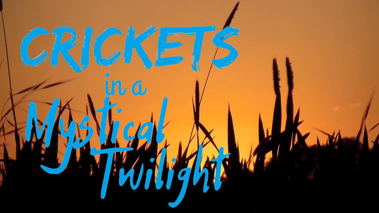 Crickets in a Mystical Twilight | 15 Minutes of Twilight | Ambient Sound | What Else Is There?