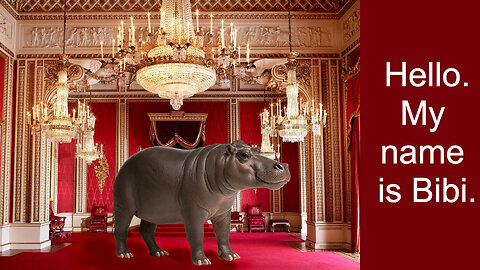 Bibi's in the Room