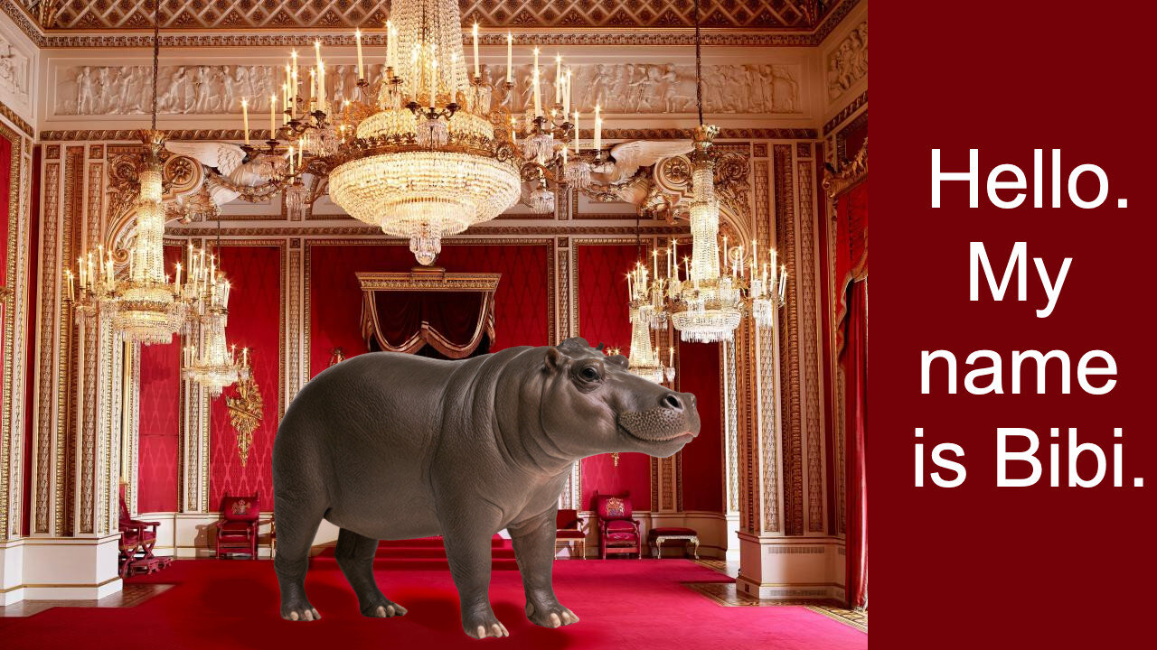 Bibi's in the Room