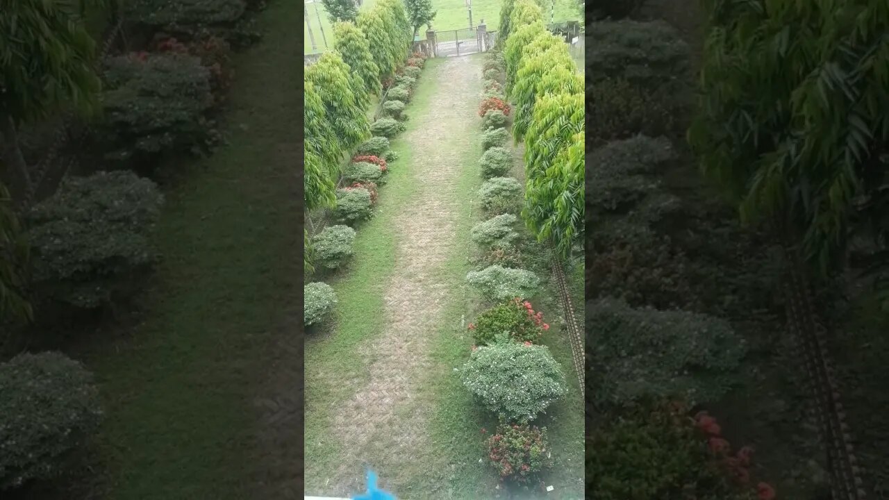 #world beautiful natural best garden video.. viral garden video