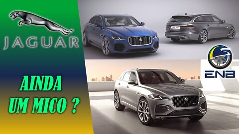 Briefing #15 - Jaguar XF e F-Pace 2021