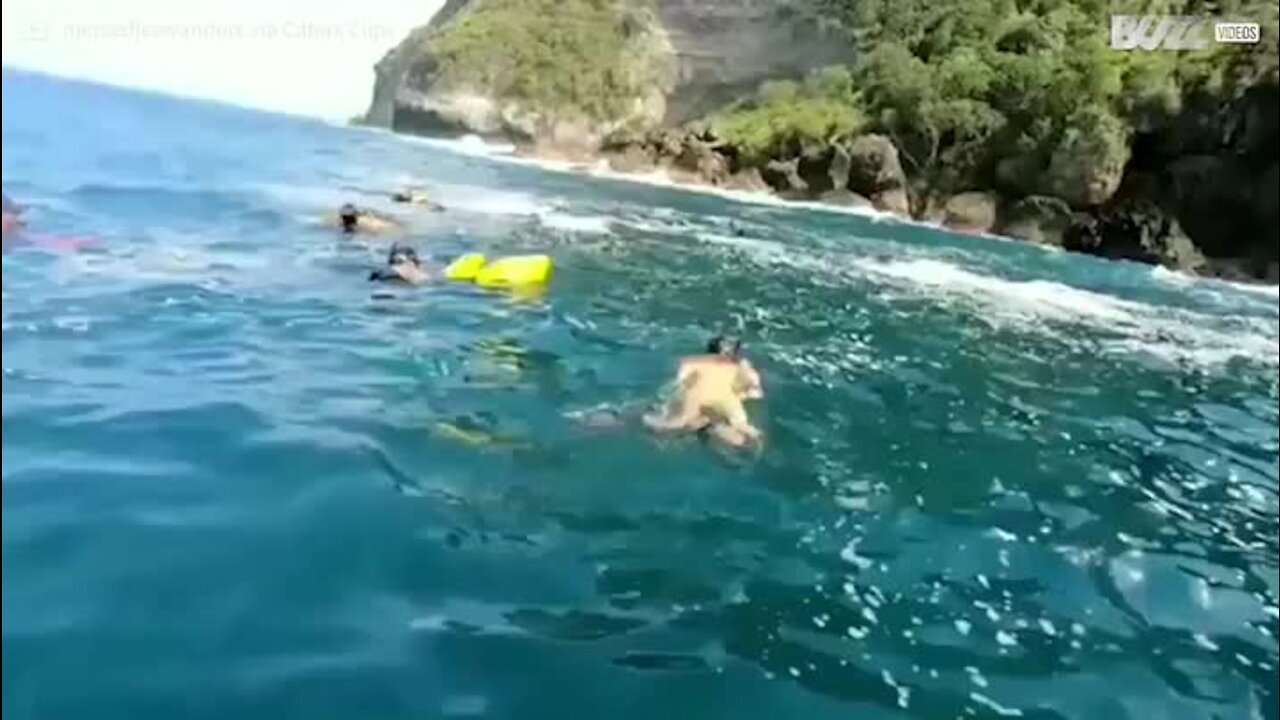 Magical moment woman swims with rays