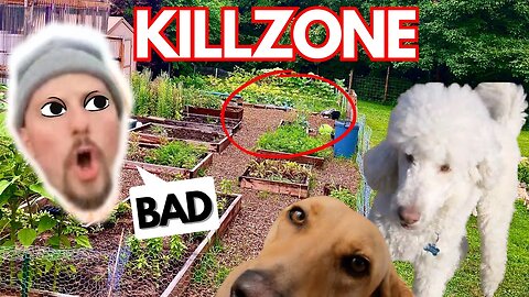 Dogs KILL Moles (Cops Called)