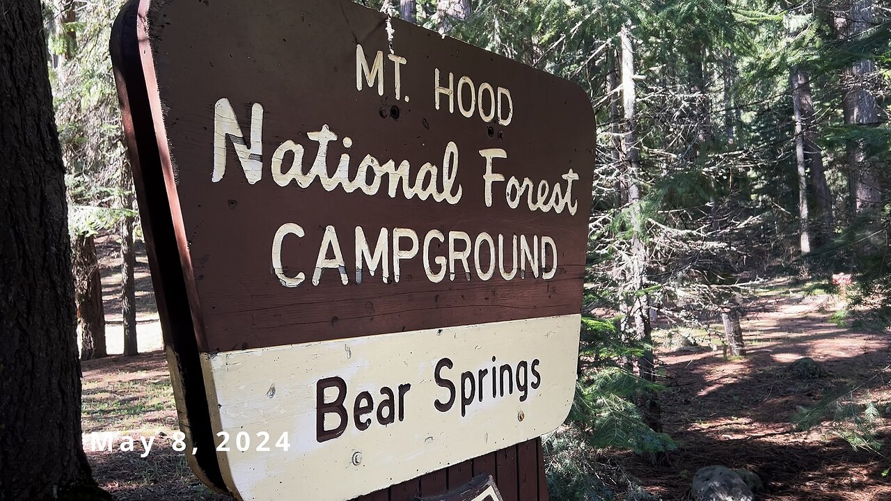 REVIEWING EACH CAMPSITE @ Bear Springs Campground & Bear Rustic Log Shelter! | Mount Hood Oregon 4K