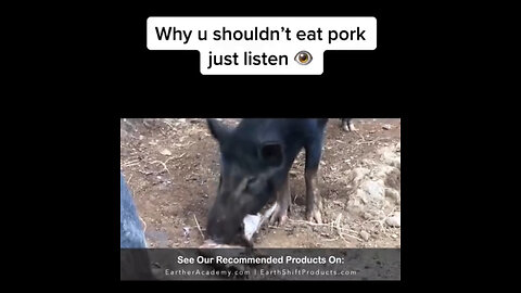 Why you shouldn’t eat pork