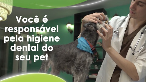 Você é responsável pela higiene dental do seu pet.