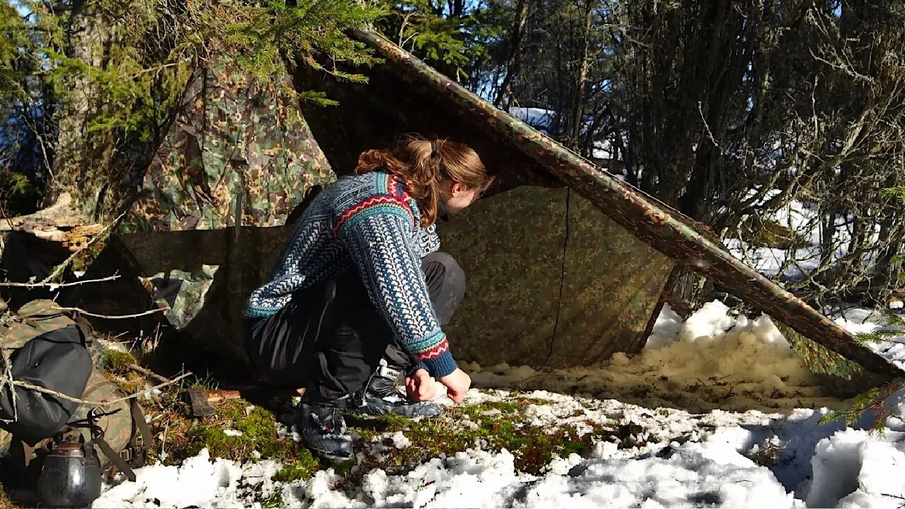 WINTER CAMPING in Perfect Spring Weather - Relaxing Bushcraft & Nature