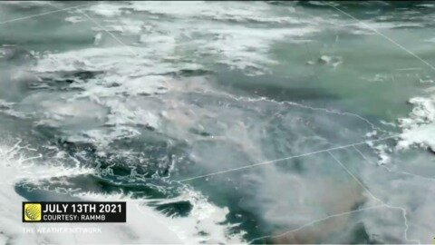 28 days later and not a drop of rain : latest smoke forecast for B.C.