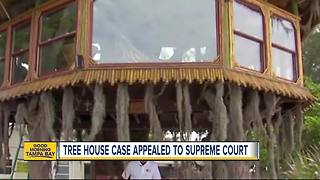 Told their treehouse must go, Holmes Beach couple looks to bring the fight to Supreme Court