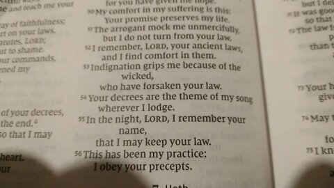 Psalm 119:41-64 NIV (Friday October 14th 2022)