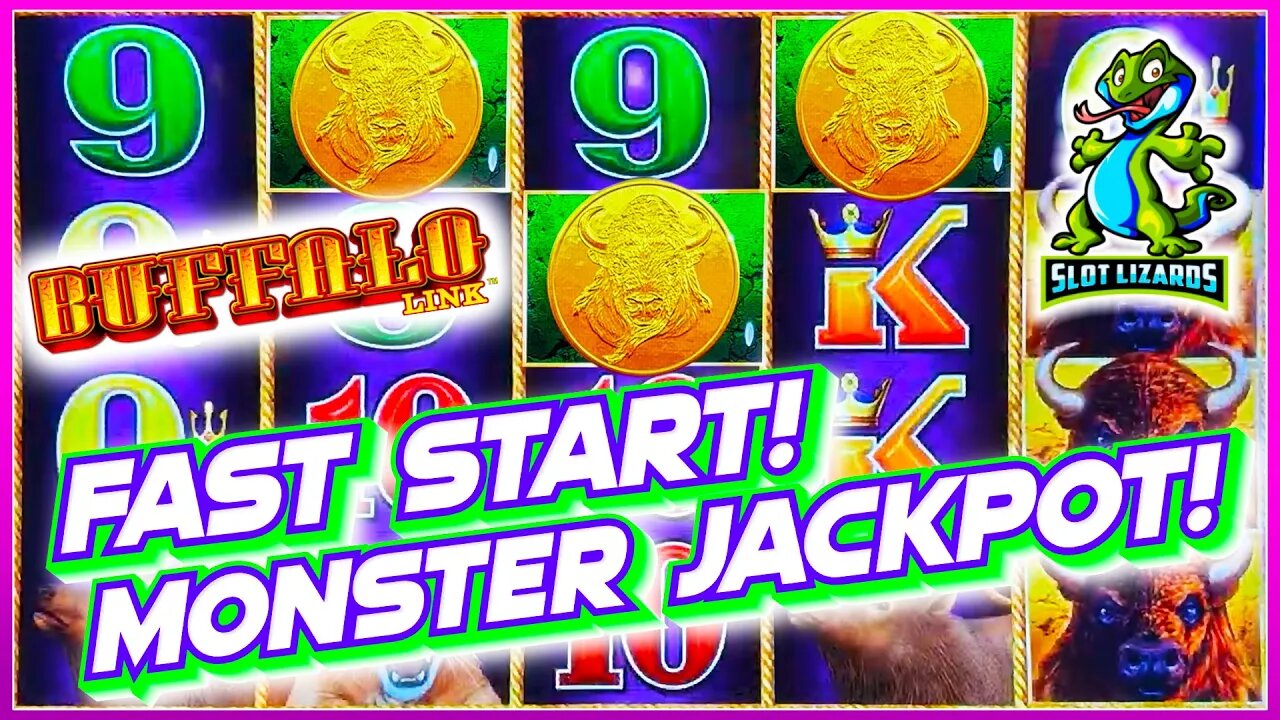 HOT START! ACTION PACKED MONSTER JACKPOT! Buffalo Link EPIC FUN HIGHLIGHT!