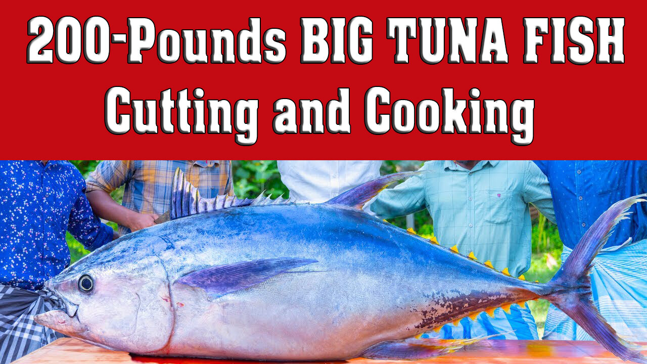 200 Pounds BIG TUNA FISH | Tuna Fish Cutting and Cooking in Village | Tuna Fish Steak Recipe