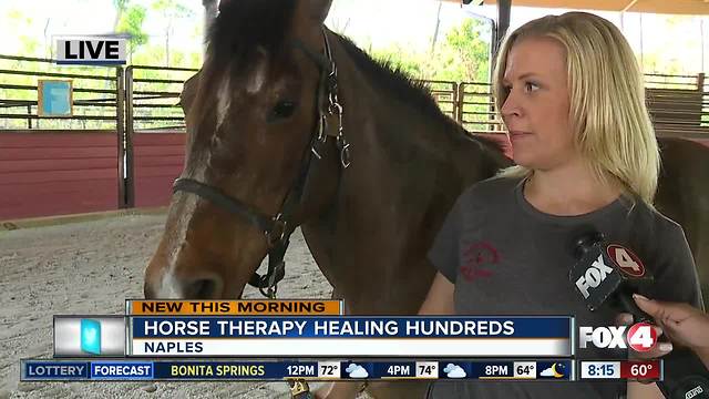 Horse therapy healing hundreds in Naples - 8am live report