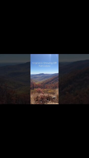 Virginia is Showing Off Fall Colors #Shorts