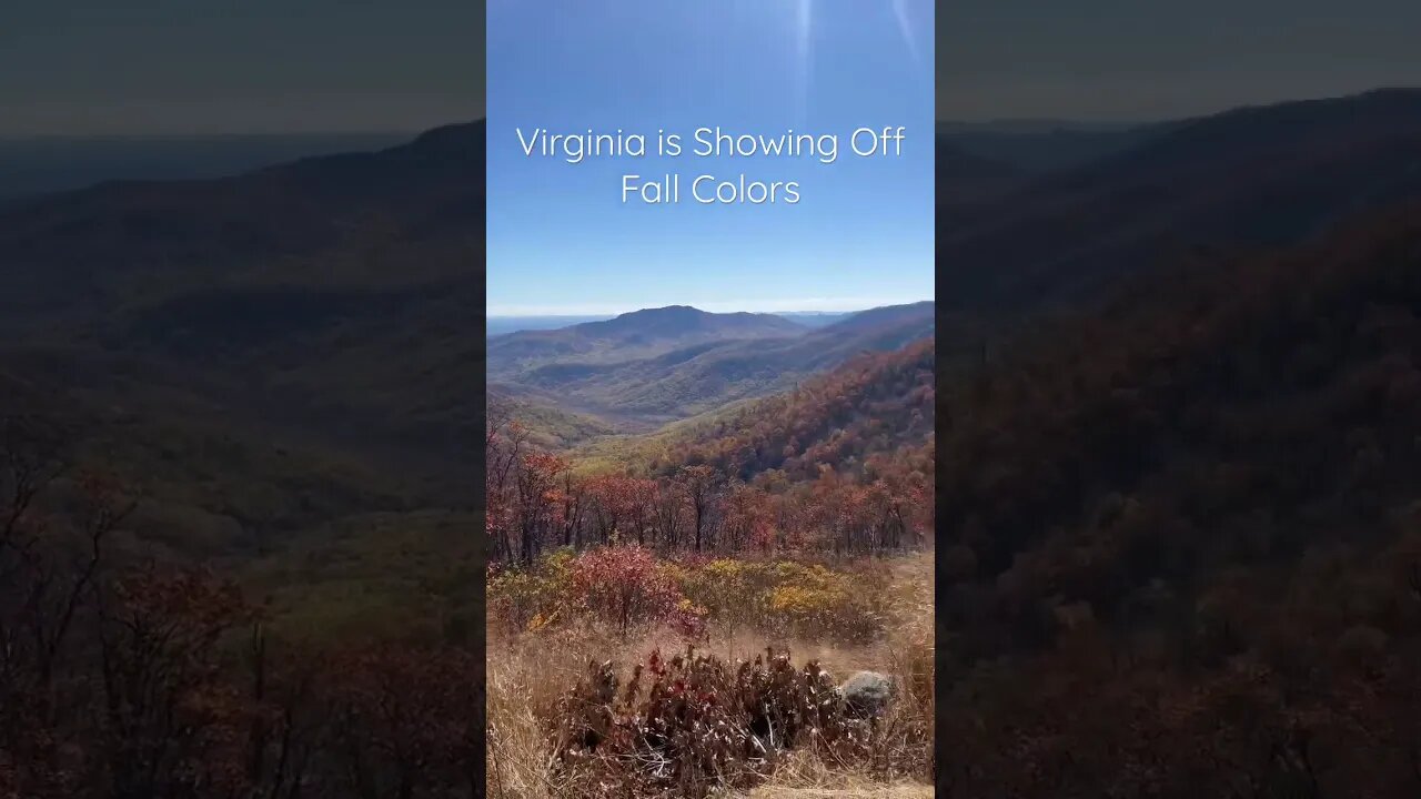 Virginia is Showing Off Fall Colors #Shorts