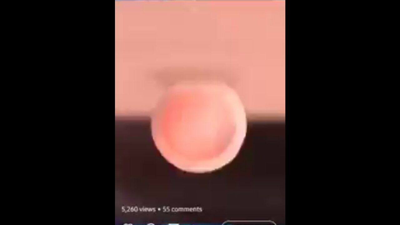 ND