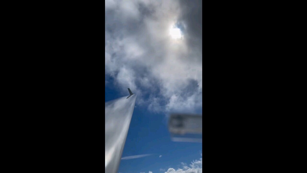 Majestic Soaring with birds in Florida