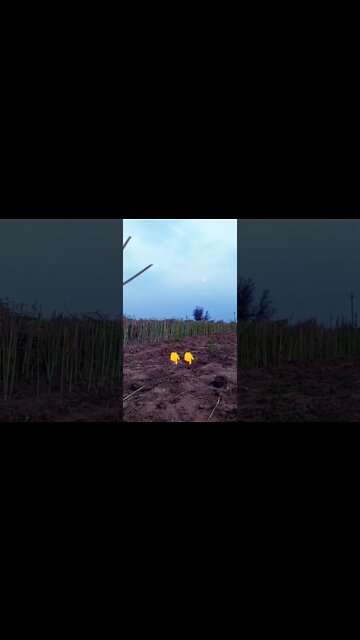 🙏🙏👇👇🗝️🗝️ #youtubeshorts #shorts #youtube #shortvideo #shortyoutube