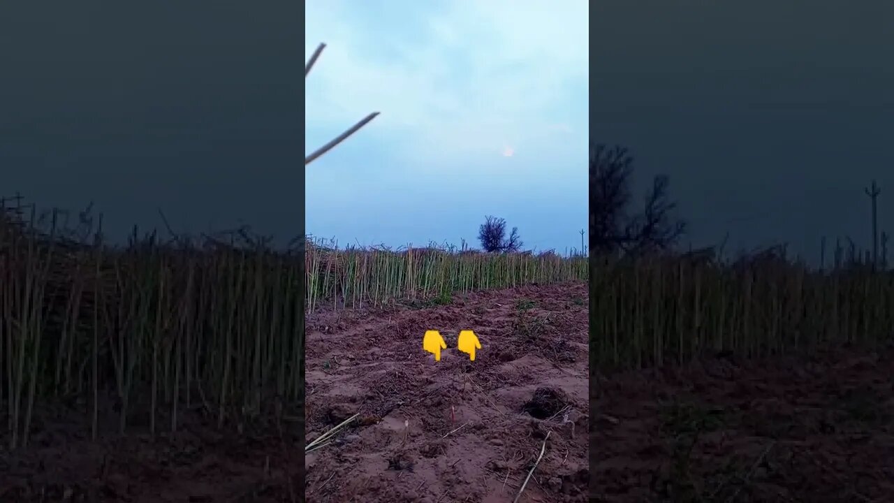 🙏🙏👇👇🗝️🗝️ #youtubeshorts #shorts #youtube #shortvideo #shortyoutube