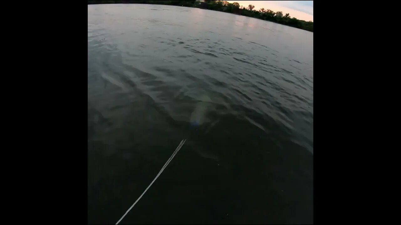 cast netting the river