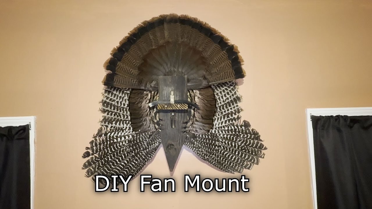 DIY Turkey Fan and Wing Mount for Wall | Step-by-Step Guide