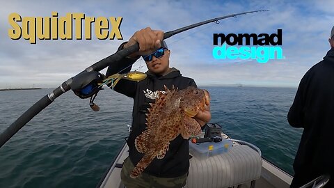 The Hottest Saltwater Lure The Nomad Squidtrex 95g on California Sculpin