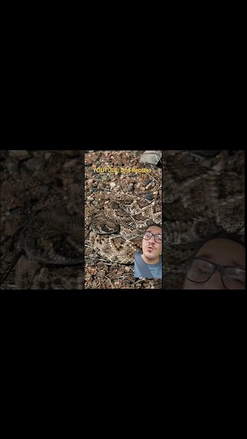 All the cool kids are doing this