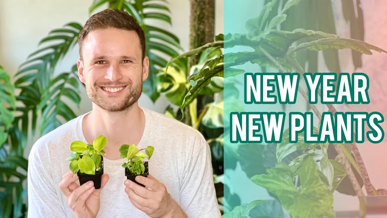 NEW PLANTS TO GROW IN 2023 - small plants, wishlist & plant prices