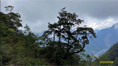 22_0509Relive 台中_南橫_關山