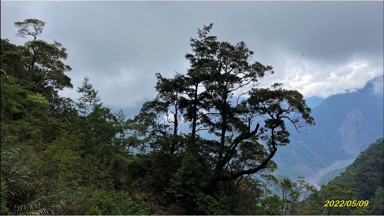 22_0509Relive 台中_南橫_關山