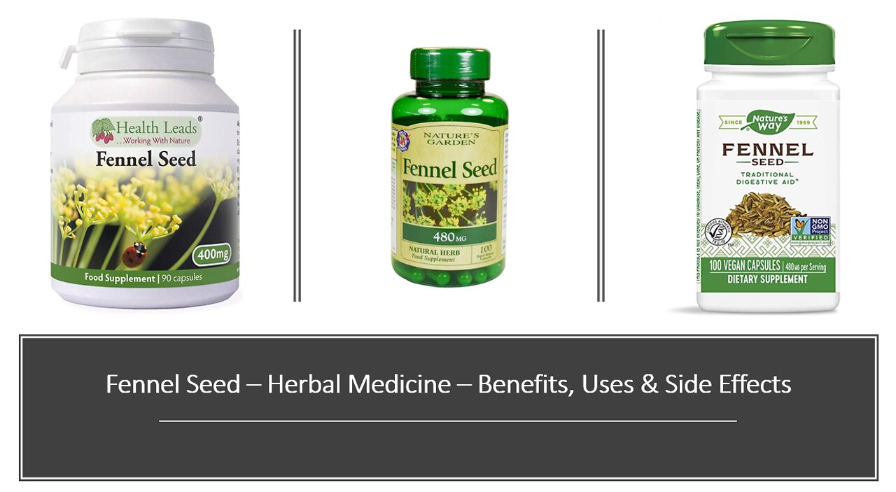 Fennel Seed Herbal Medicine Benefits, Uses & Side Effects