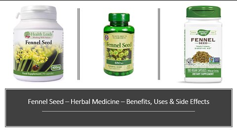 Fennel Seed Herbal Medicine Benefits, Uses & Side Effects