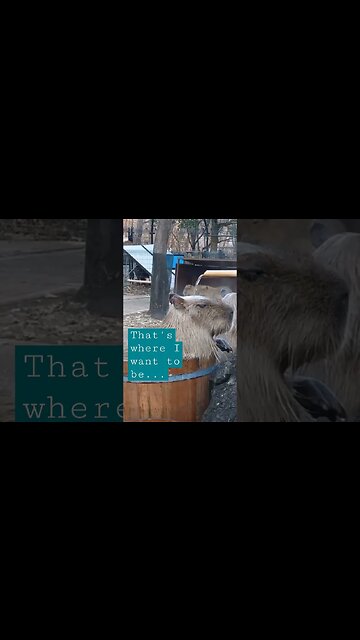 Completely #chill. That's where I'd like to be.