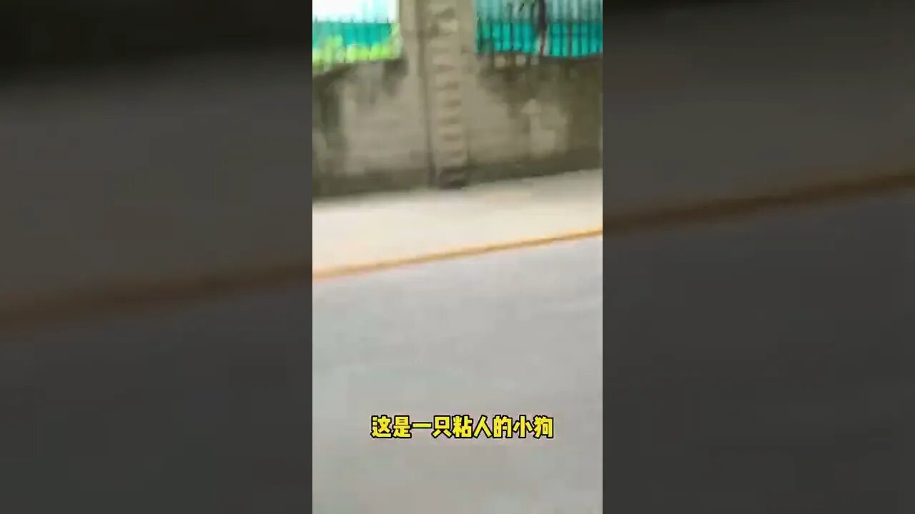 情侣日常 #男友视角 入秋了 该谈恋爱了~#shorts