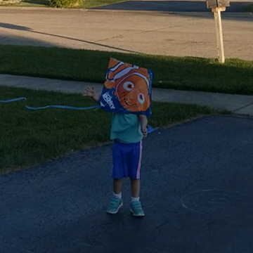 A Little Girl Gets A Kite To The Face
