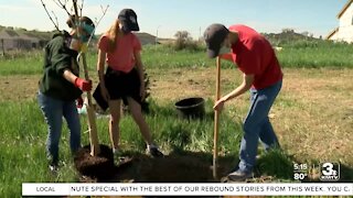 Nebraska-born Arbor Day celebrated across the metro