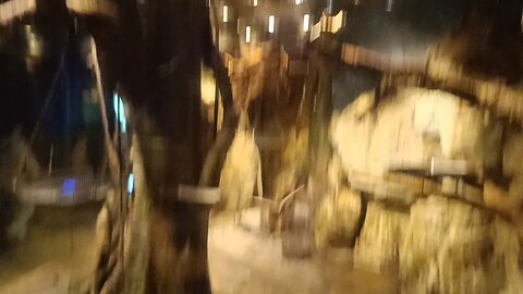 A bat in Ueno Park Zoo
