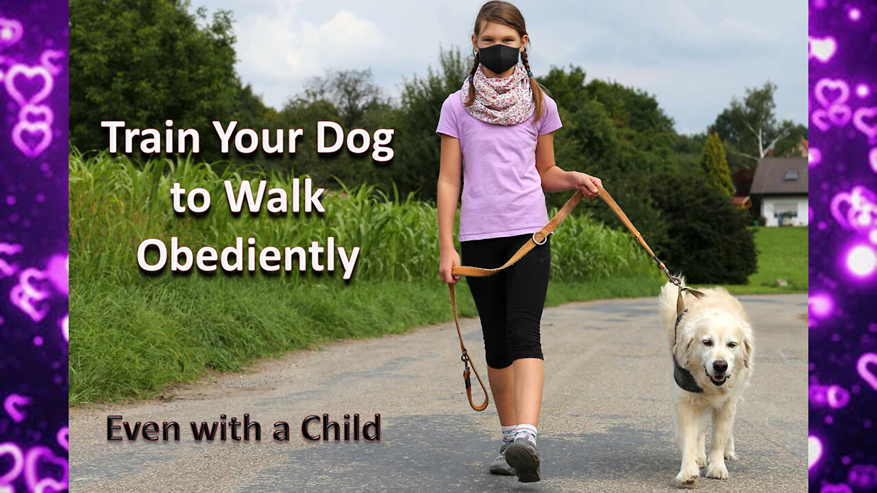 Teach any dog to walk obediently on leash in 5 Minutes