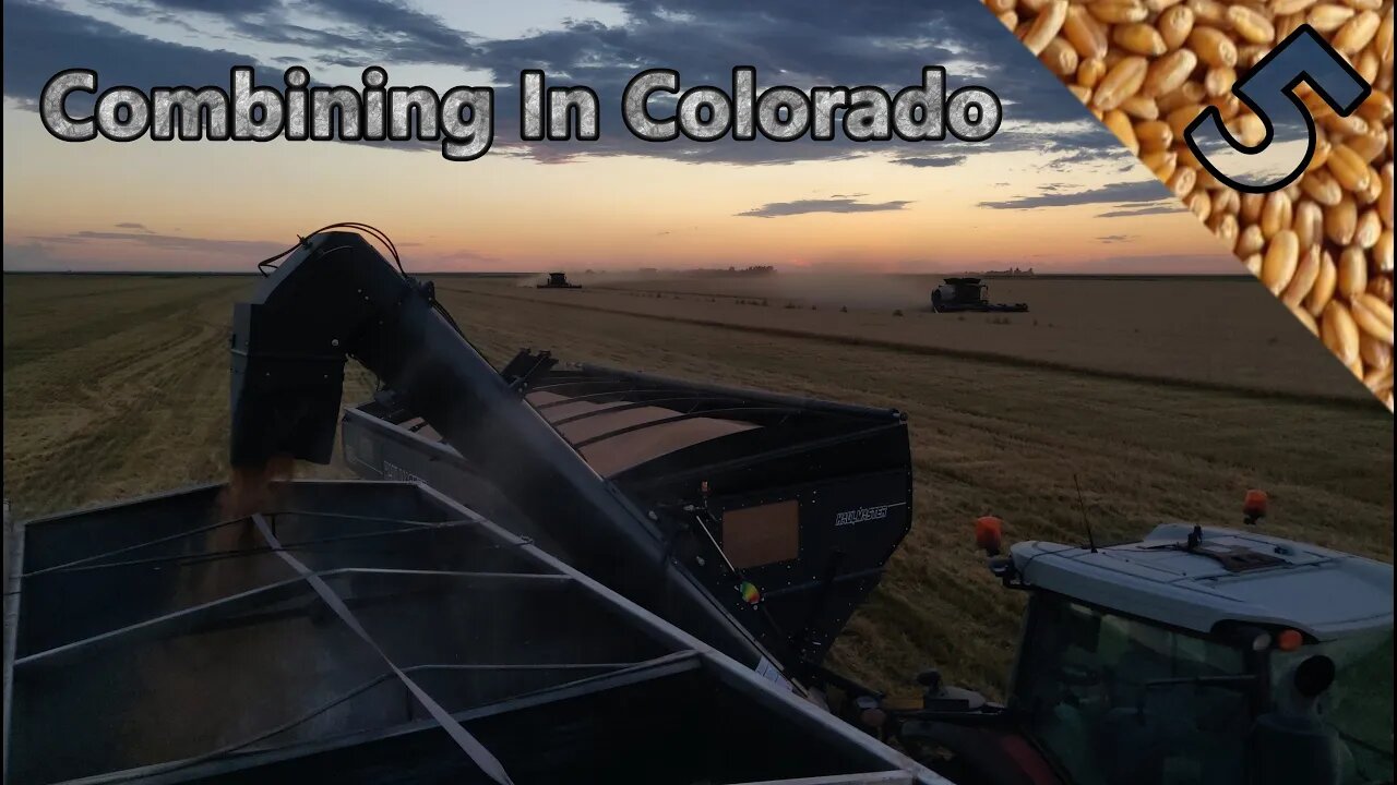 Cutting Wheat In Colorado | Slagell Harvesting | Wh23 | Episode 5