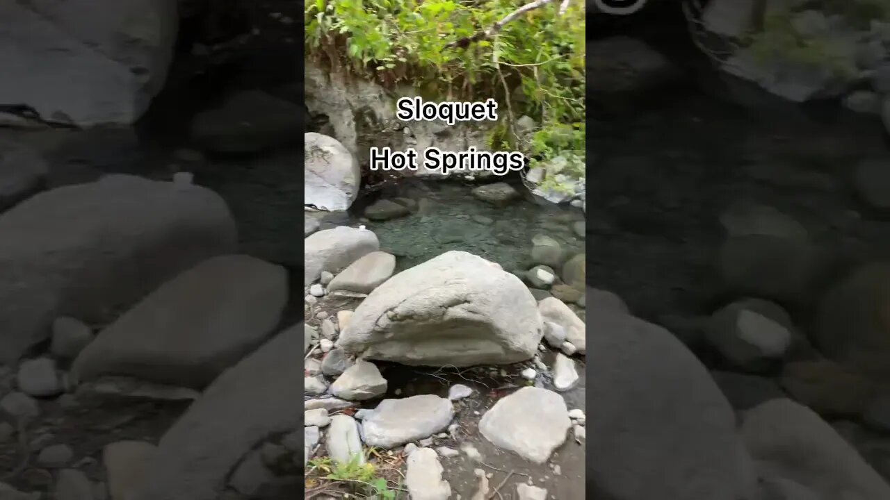 B.c is great #hotspring #beautifulbc #bigtrees #adventure