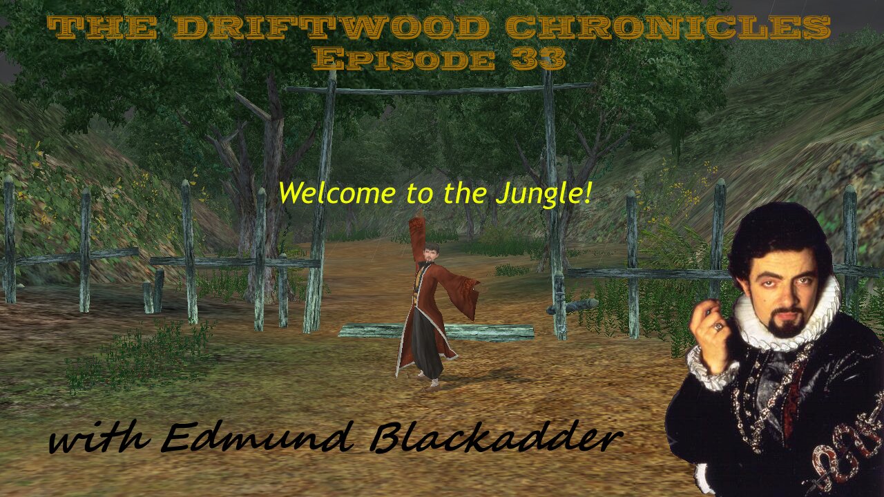 The Driftwood Chronicles: Episode 33