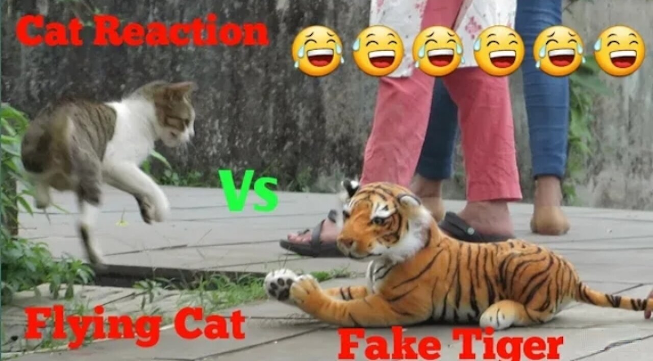 Fake Tiger Vs Cat Prank Video || TRY NOT TO LAUGH CHALLENGE 2021 || Funny Challenge videos