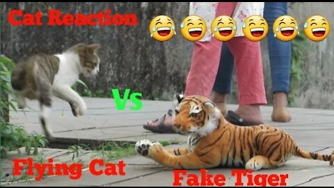 Fake Tiger Vs Cat Prank Video || TRY NOT TO LAUGH CHALLENGE 2021 || Funny Challenge videos