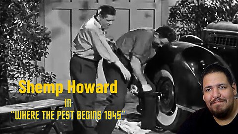 Shemp Howard | Where The Pest Begins 1945 | Reaction