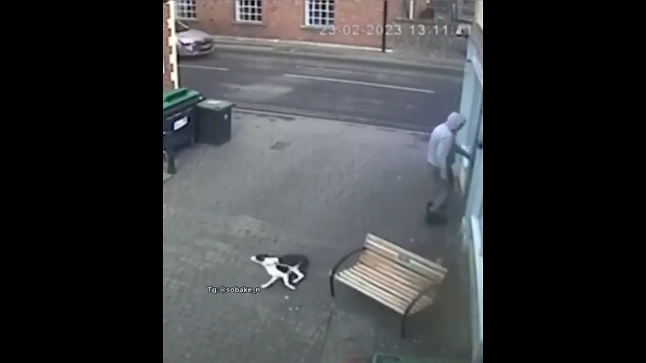Catch me if you can! #trending