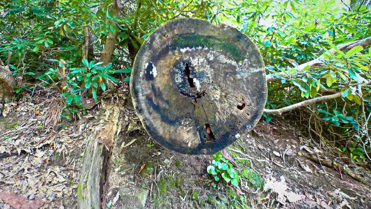 Stopped in Boone, stayed and strolled around in Blowing Rock, NC, hiked the local Glen Burney Trail.