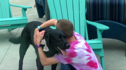 Treating Childhood Anxiety with Pets